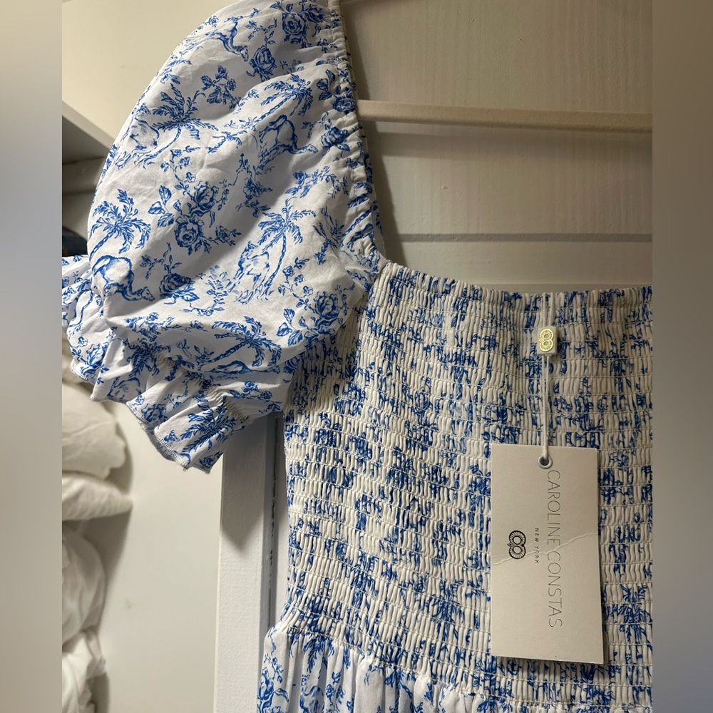 Caroline Constas Zuri Maxi Dress - Picture 7 of 9
